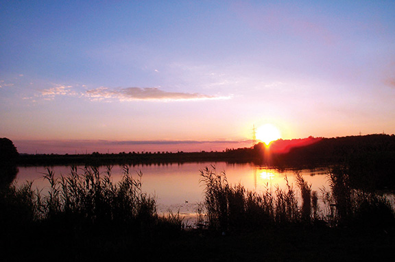 Sunset over a tranquil lake with silhouetted reeds and colorful sky.