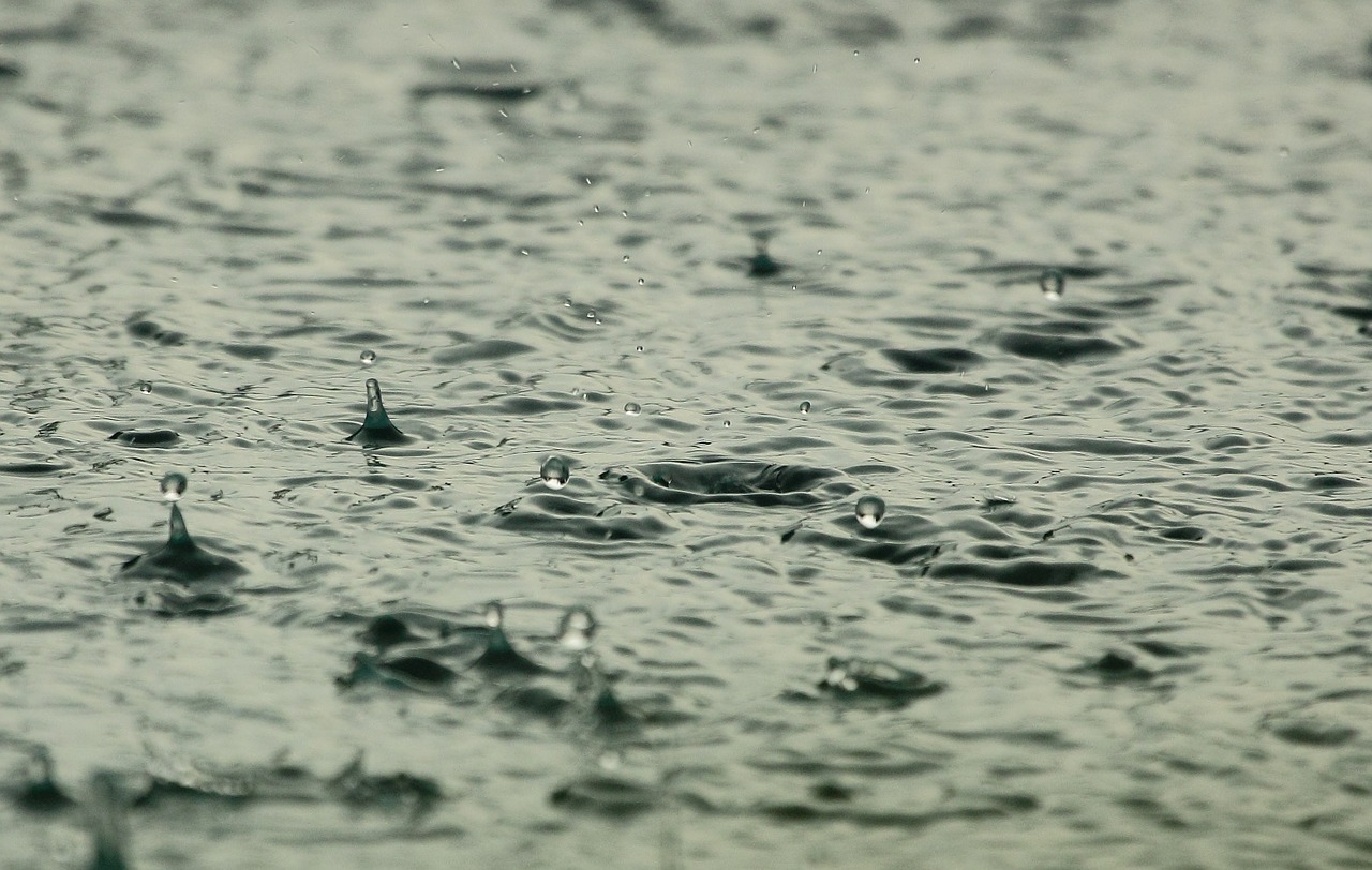 Raindrops splashing on a water surface, creating ripples and droplets in a close-up view.