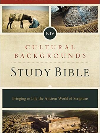 NIV Cultural Backgrounds Study Bible cover, showcasing ancient imagery and scripture context highlights.
