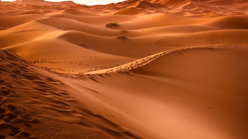 Golden sand dunes in a vast desert landscape under a clear sky, showcasing natural beauty and tranquility.