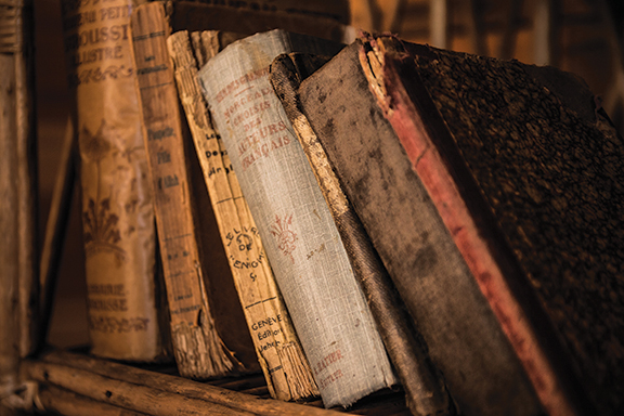 Old books stacked on a wooden shelf, showcasing worn covers and aged pages in a cozy, nostalgic setting.