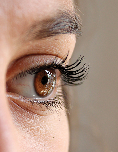 Close-up of a brown eye with long, curled eyelashes, highlighting natural beauty and lash detail.