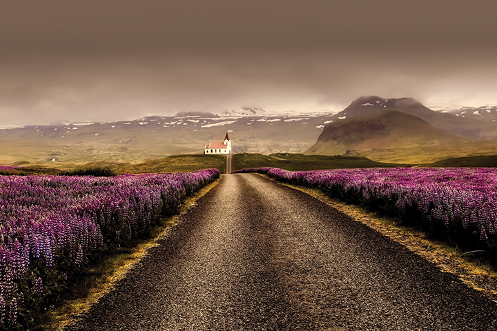 Scenic road leading to a church, surrounded by vibrant purple flowers and mountains under a cloudy sky.