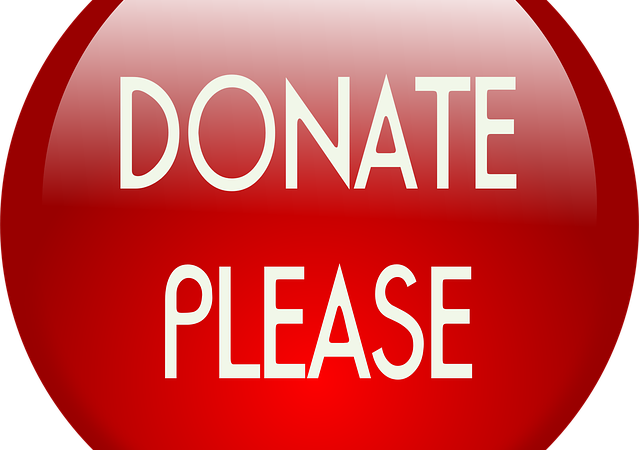 Red button with text DONATE PLEASE encouraging donations.