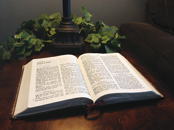 Open Bible on wooden table with lamp and green leaves, creating a peaceful reading atmosphere.