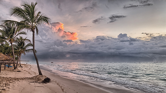 Palm-lined tropical beach at sunset with dramatic clouds over the ocean.