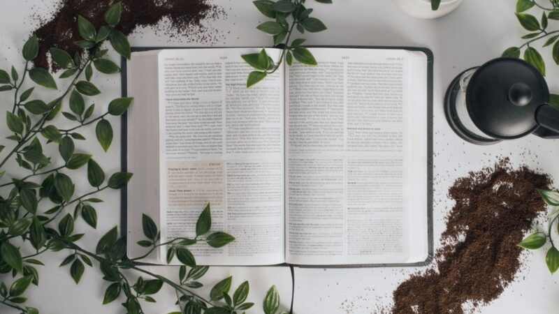 Open book with greenery and coffee grounds on a table, conveying a peaceful reading atmosphere.