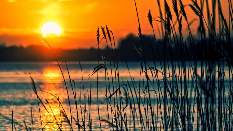 Sunset over serene lake with silhouetted reeds in foreground, showcasing vibrant orange and blue hues.