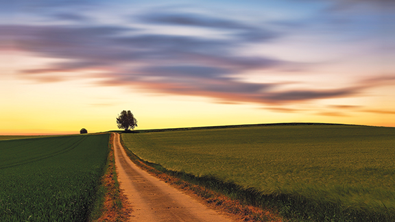 Dirt path through fields at sunset with a lone tree on the horizon under colorful sky.