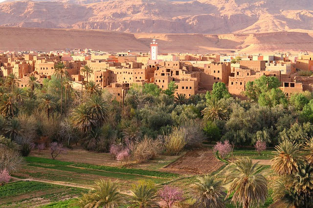Ancient desert town with mud-brick buildings, lush greenery, and mountain backdrop under a clear sky.