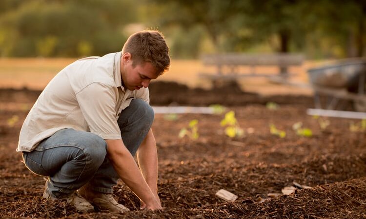 Becoming a Great Leader