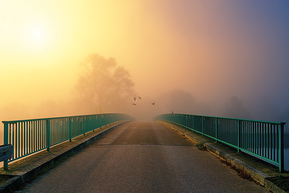 Foggy sunrise over a bridge with green railings, birds flying, and a tranquil landscape in the background.