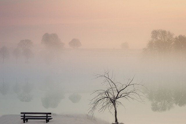 Tranquil foggy landscape with a bench and tree by a lake, reflecting serene pastel skies at dawn.