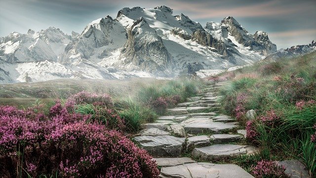 Mountain path with stone steps, surrounded by pink flowers, leading to snow-capped peaks under a cloudy sky.