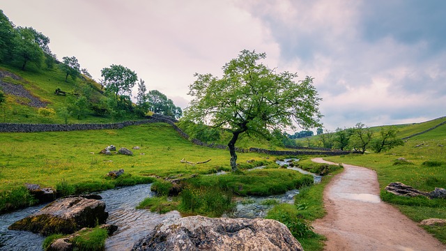 Tranquil countryside with a winding path, lush tree, and gentle stream under a cloudy sky.
