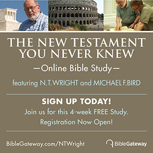 Online Bible Study with N.T. Wright and Michael F. Bird. Sign up for the New Testament course. Free registration.