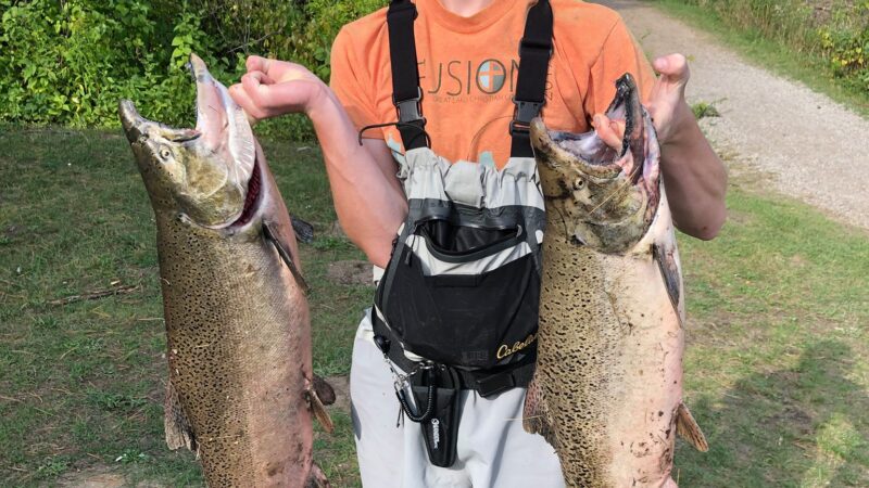 Man smiling and holding two large fish outdoors on a sunny day, with trees and a dirt path in the background.