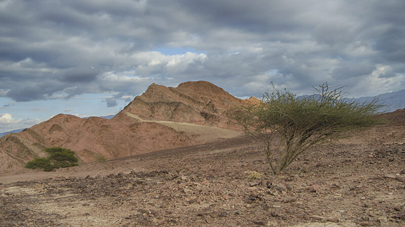 Desert landscape with rocky hills and sparse vegetation under a cloudy sky.