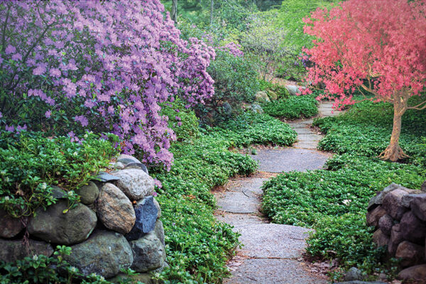 Serene garden path with vibrant pink and purple flowers, lush greenery, and stone borders in spring.