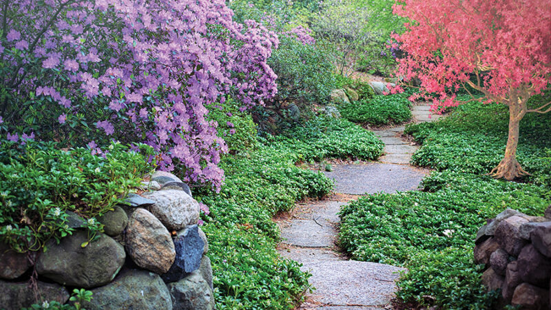 Serene garden path with vibrant pink and purple flowers, lush greenery, and stone borders in spring.