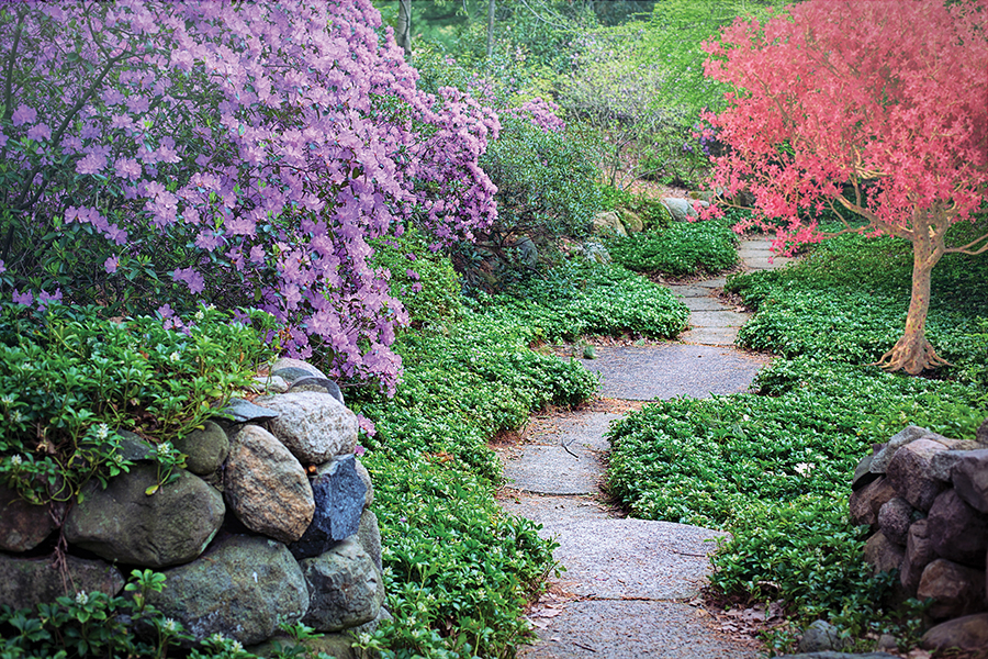 Serene garden path with vibrant pink and purple flowers, lush greenery, and stone borders in spring.