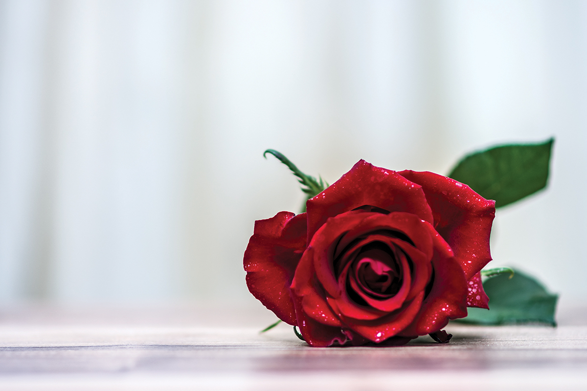 Close-up of a single red rose with green leaves on a wooden surface, soft-focus background.