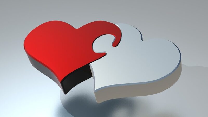 Two interlocking heart-shaped puzzle pieces, one red and one gray, symbolizing love and connection.