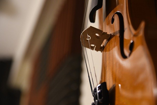 Close-up of a violin bridge and strings, showcasing the instrument's detailed woodwork and craftsmanship.
