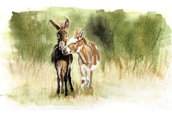 Watercolor painting of two donkeys nuzzling in a green field.