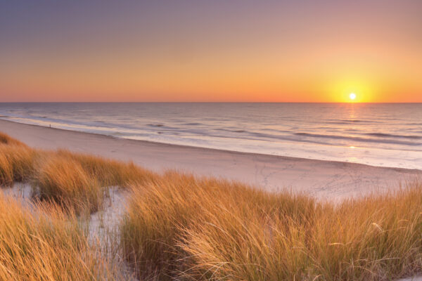 Sunset over a serene beach with golden grasses, calm waves, and a vibrant horizon.