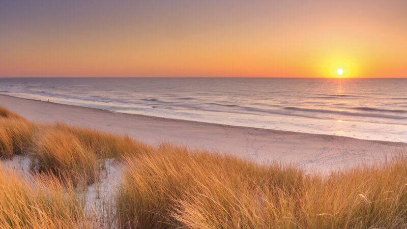 Sunset over a serene beach with golden grasses, calm waves, and a vibrant horizon.