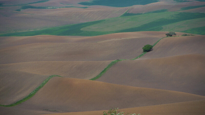 Rolling hills landscape with green and brown fields under a cloudy sky. Peaceful countryside view.