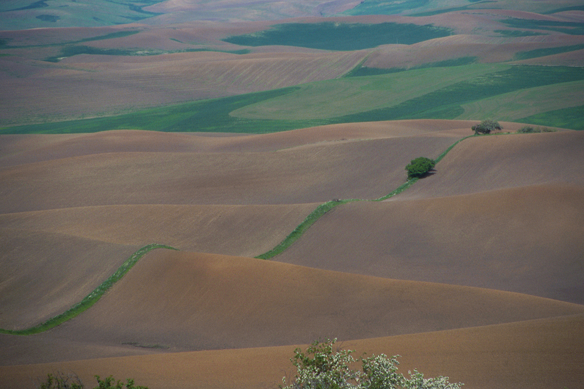 Rolling hills landscape with green and brown fields under a cloudy sky. Peaceful countryside view.