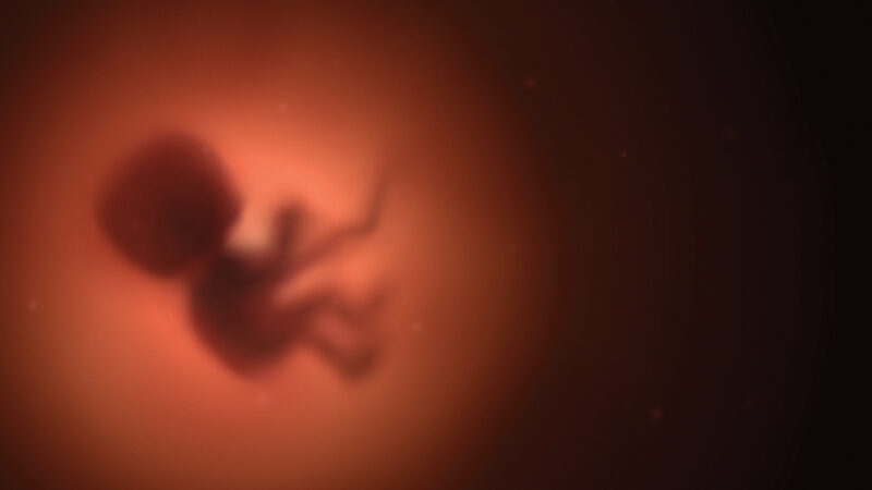 Blurry silhouette of a fetus in a soft, glowing environment, representing early stages of life and development.