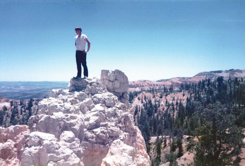 Person standing atop rocky outcrop with expansive forest and plateau view in background under a clear blue sky.