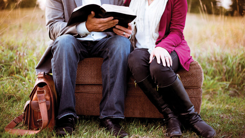 Couple reading a book together on a couch in a field, with a brown leather bag beside them.