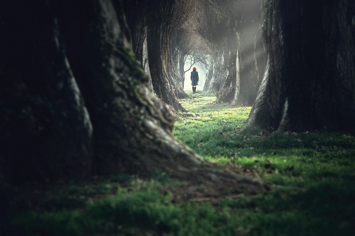 Person walking through a mystical forest path, surrounded by tall trees and soft sunlight filtering through branches.