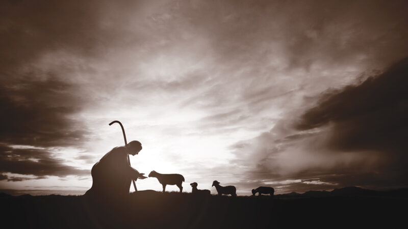 Silhouette of a shepherd with sheep at sunrise, symbolizing guidance and serenity in a tranquil landscape.