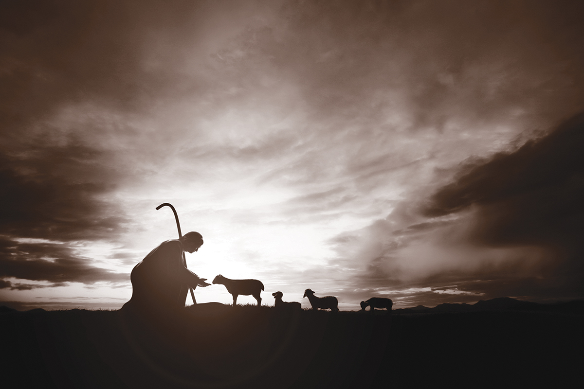 Silhouette of a shepherd with sheep at sunrise, symbolizing guidance and serenity in a tranquil landscape.