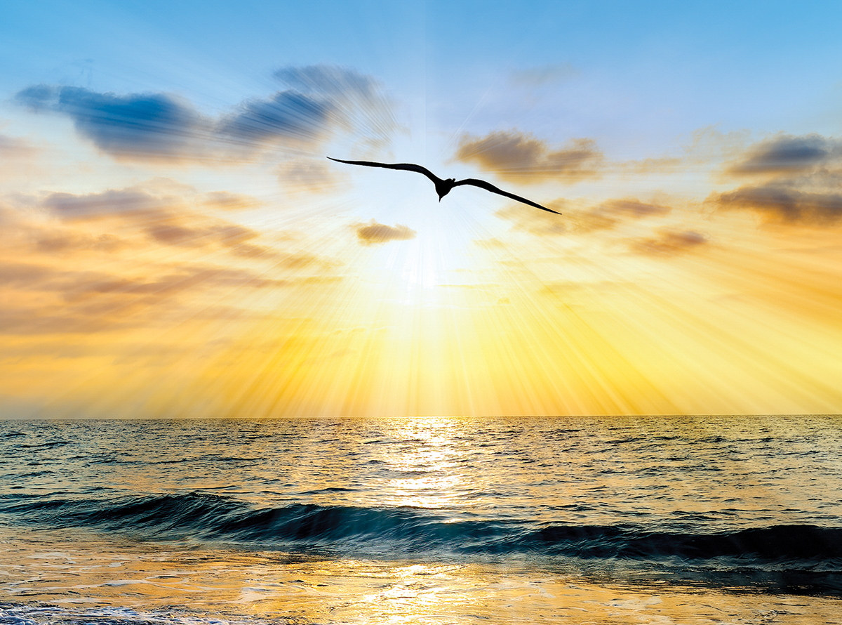 Sunset over ocean with silhouetted bird soaring, golden light rays illuminating waves and sky. Serene seascape.