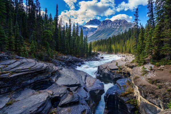 Scenic river flowing through rocky gorge with pine forests and mountains under a blue sky with clouds.