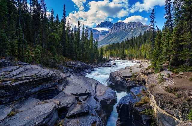 Scenic river flowing through rocky gorge with pine forests and mountains under a blue sky with clouds.