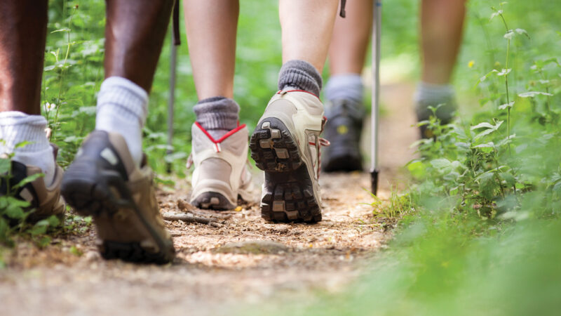 Hikers walking on a scenic, forest trail in sturdy shoes, showcasing outdoor adventure and nature exploration.