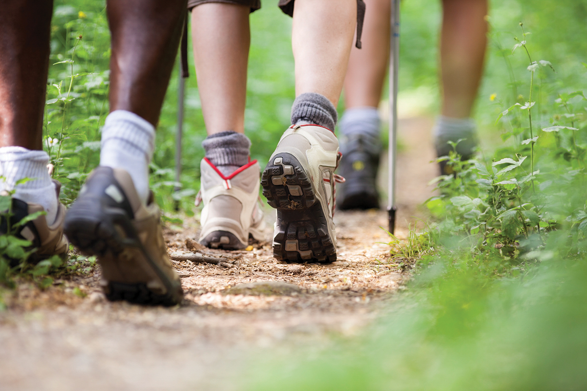 Hikers walking on a scenic, forest trail in sturdy shoes, showcasing outdoor adventure and nature exploration.