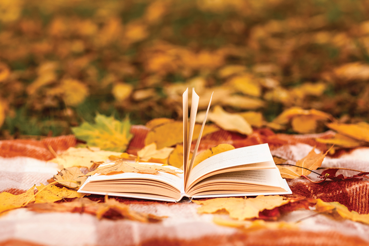 Open book on a blanket surrounded by fall leaves, evoking a cozy autumn reading atmosphere.