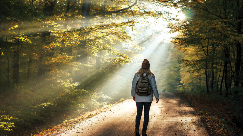 Hiker on a sunlit forest path, surrounded by trees and autumn leaves, embracing nature and adventure.