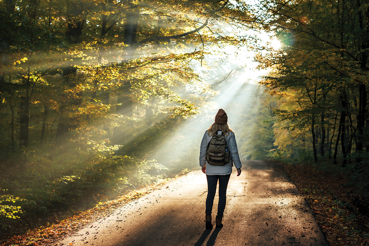 Hiker on a sunlit forest path, surrounded by trees and autumn leaves, embracing nature and adventure.