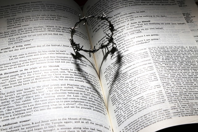 Crown of thorns casting a heart-shaped shadow on an open Bible page, symbolizing love and sacrifice.