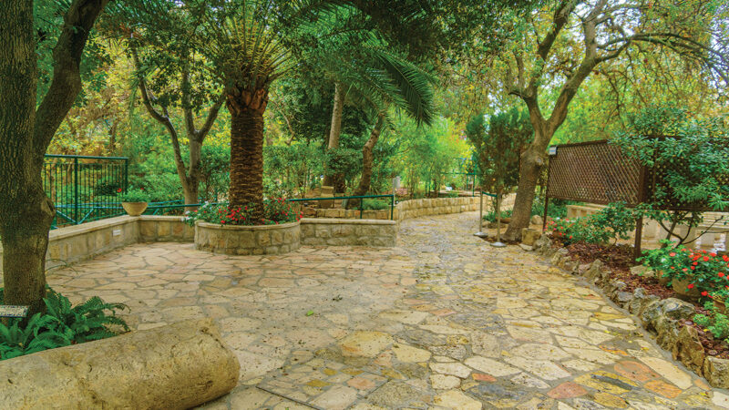 Tranquil stone path in lush garden with trees and vibrant flowers under a sunny sky. Ideal for nature walks.