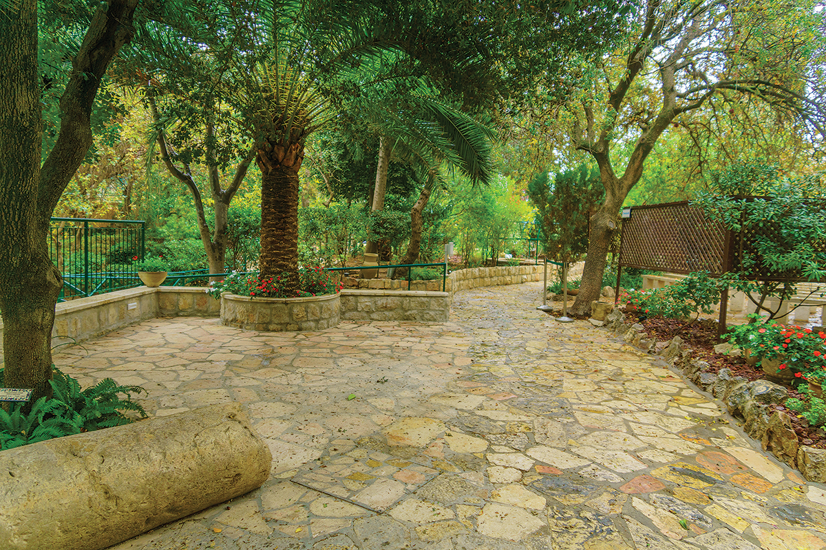Tranquil stone path in lush garden with trees and vibrant flowers under a sunny sky. Ideal for nature walks.